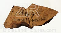 5678. Herod sherd from Masada