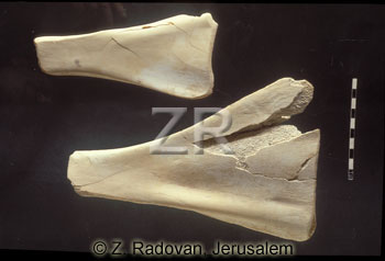 581-1 Bone tools