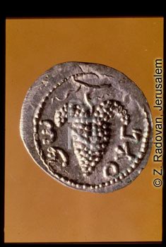 626-2 BarCohbah coin