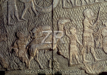 697-5 Lachish Captives