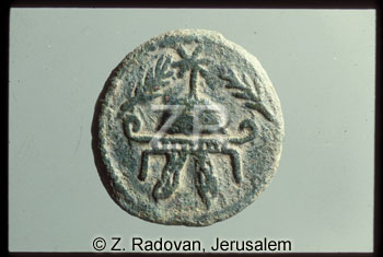 753-2 Herod the Great coins