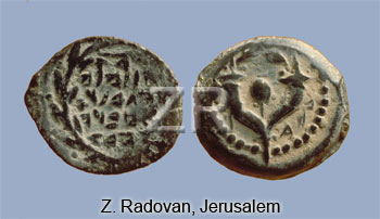 791-2 Hyrcanus coins