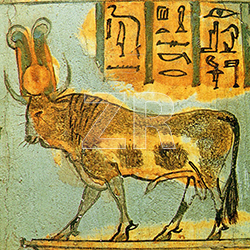 6279-2- Apis,  Egyptian deity