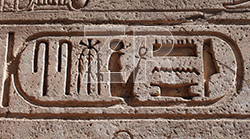 6299. Ramses II. cartouche