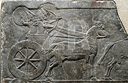 1379-1-Assyrian war chariot