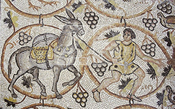 6338-1- Beer Shema church mosaic