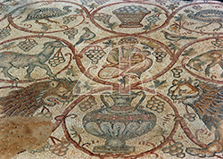 6338-2- Beer Shema church mosaic