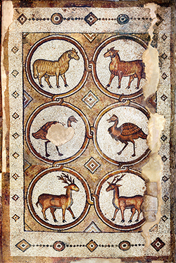 6359-1-Petra church mosaic