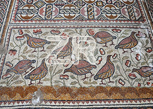 6386-1-Hirbet Madras church mosaic