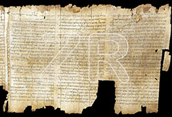 217-8-The Temple Scroll, Qumran
