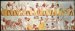 4060-8-Harvest Scenes, Egypt