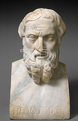 6708. Bust of Herodotus