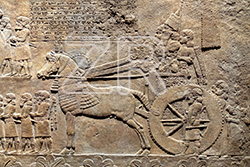 6920. Assyrian King Ashurbanipal,